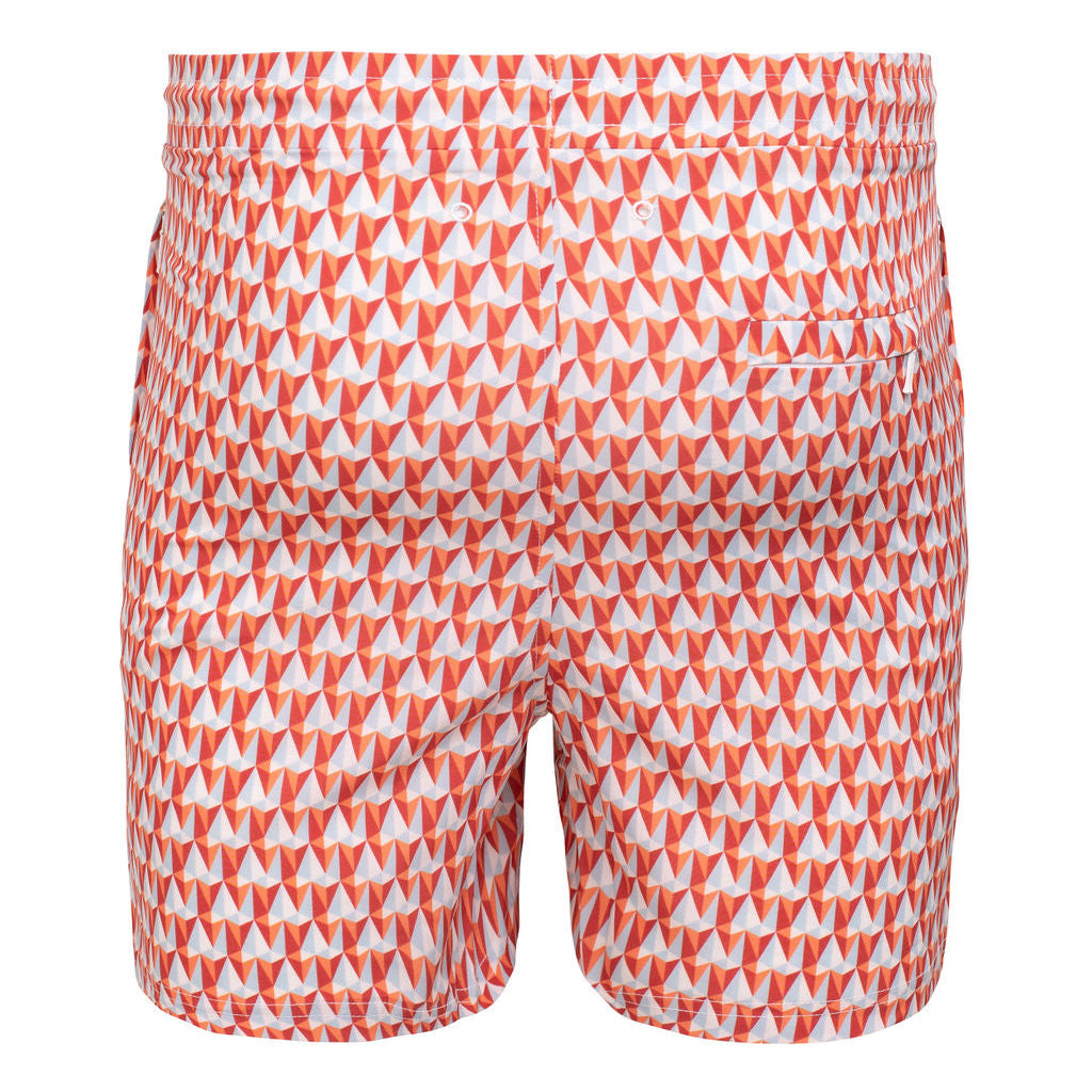 Swim Shorts Kite