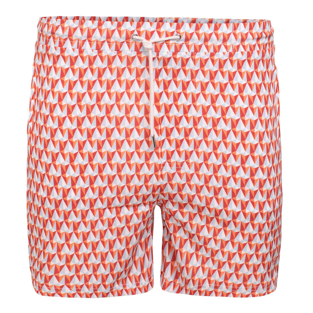 Swim Shorts Kite
