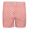 Swim Shorts Kite