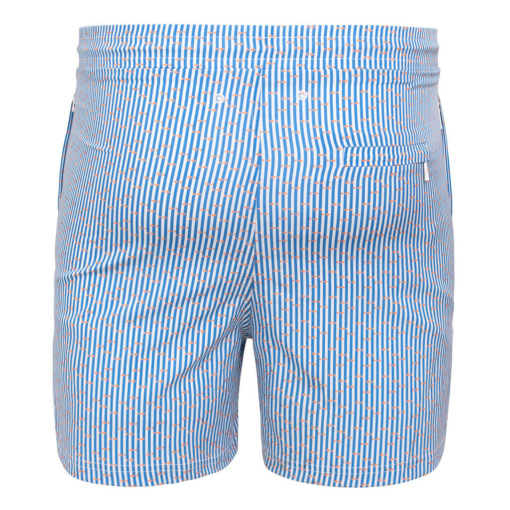 Swim Shorts Stripes