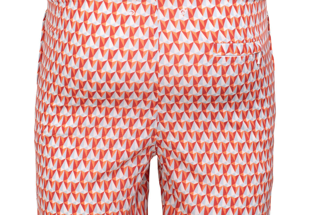 Swim Shorts Kite