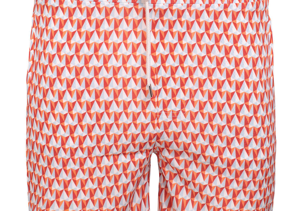 Swim Shorts Kite
